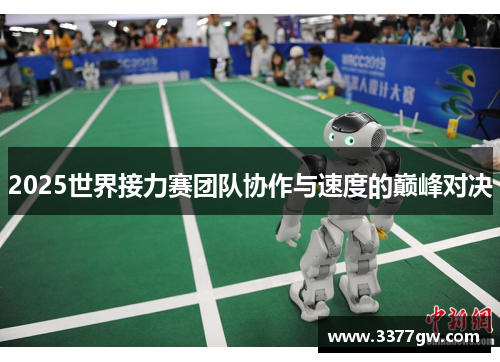 2025世界接力赛团队协作与速度的巅峰对决